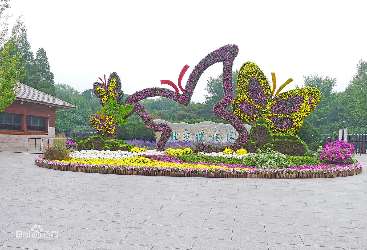 植物园景点介绍.租车价格.指南.攻略
