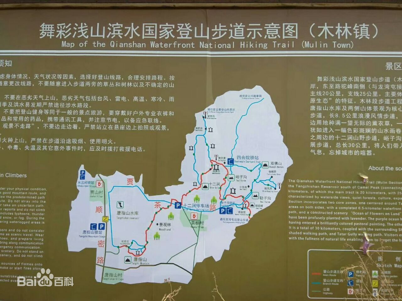 舞彩浅山租车指南.租车价格.租车电话