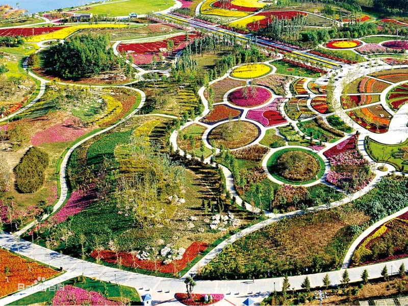 国际鲜花港租车指南.租车价格.租车电话